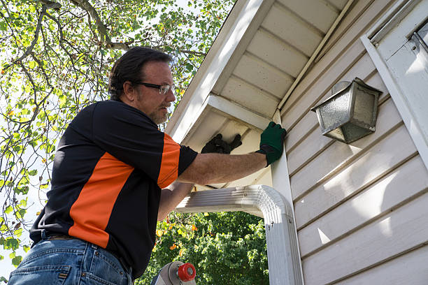 Reliable Maple Park, IL Siding Solutions